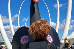Our Emblem the Black Swan